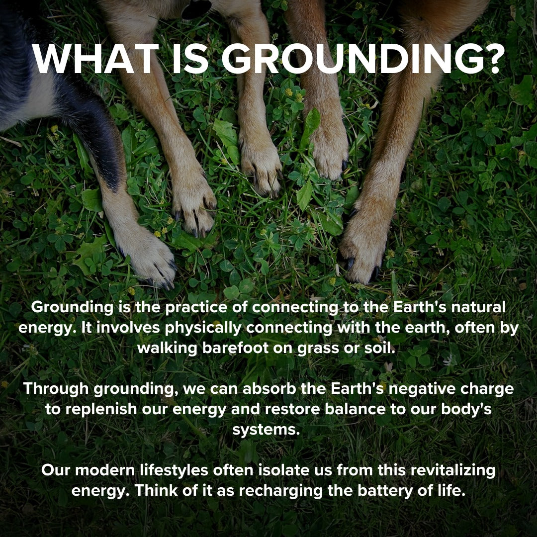 GroundLife Pet Grounding Mat