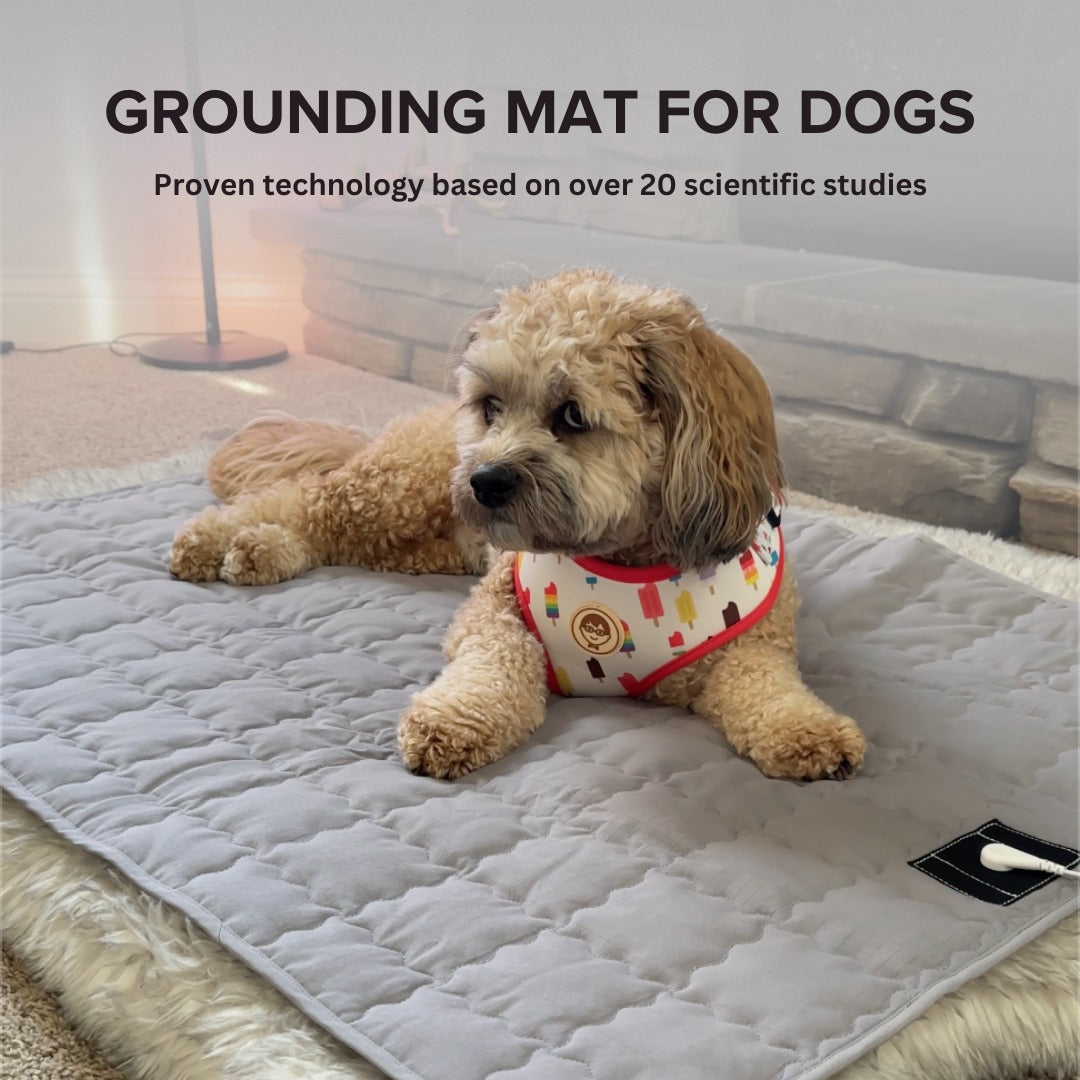 GroundLife Pet Grounding Mat